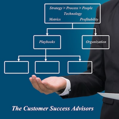 Customer Success Advisors