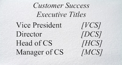 Text: Vice President, Director, Head of CS, Manager of CS